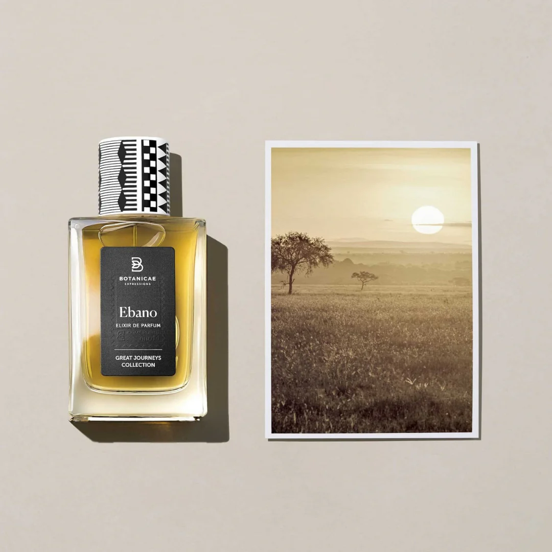 Ebano - Image 3