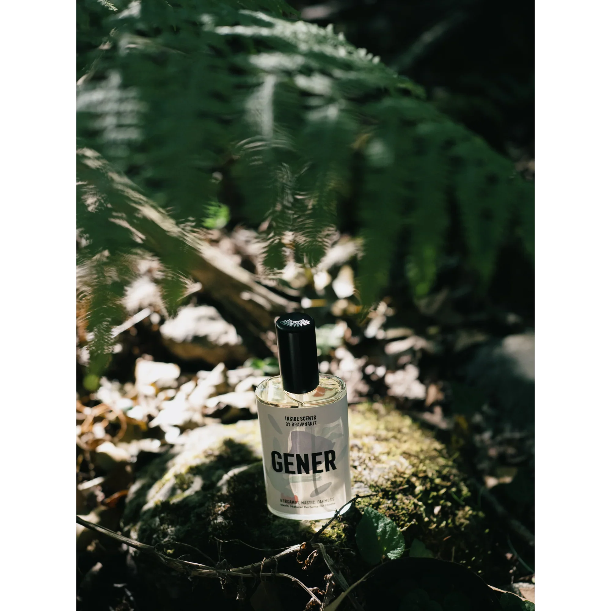 Gener - Image 3