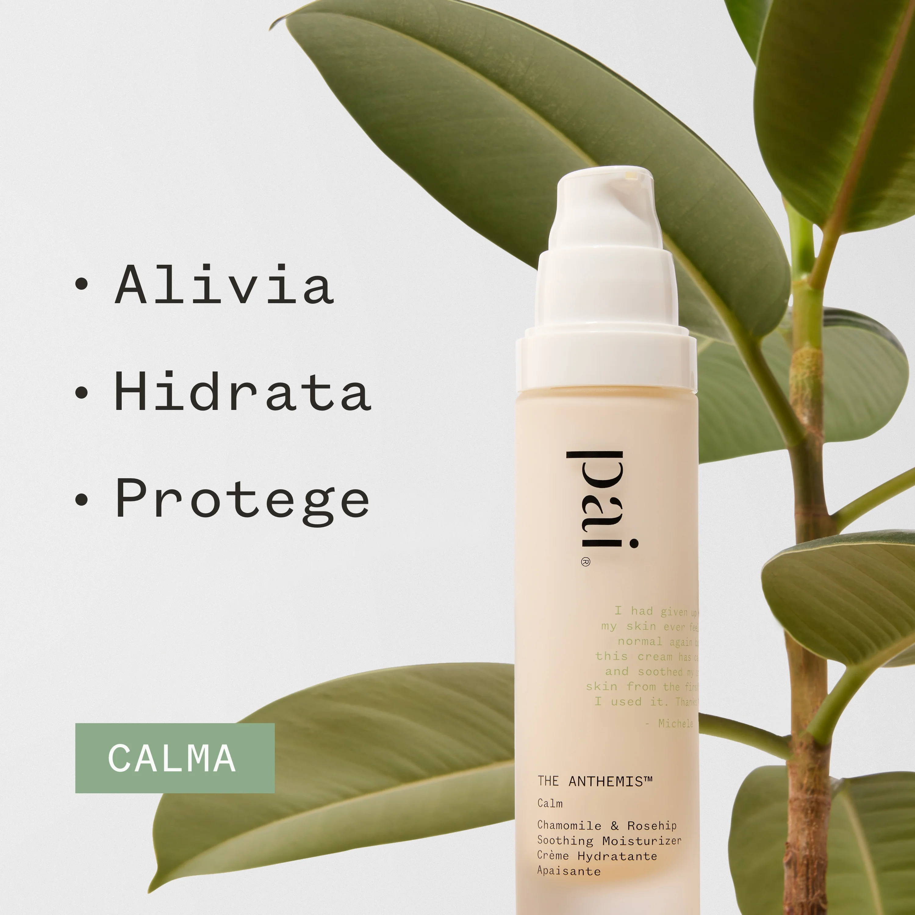 The Anthemis Soothing Moisturizer - Image 6